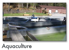 Aquaculture